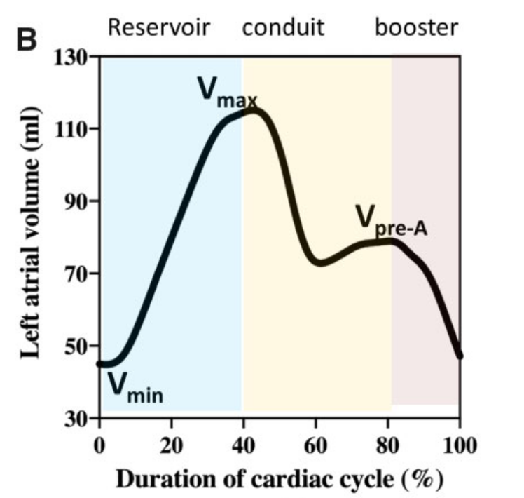 Left atrial volume-time curve showing Vmax Vmin and pre-atrial contraction volume